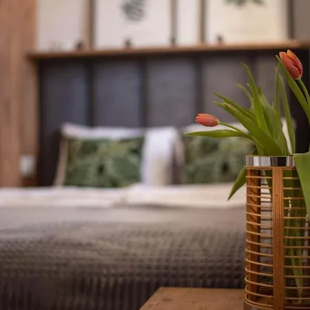 Place4you أوسترودا